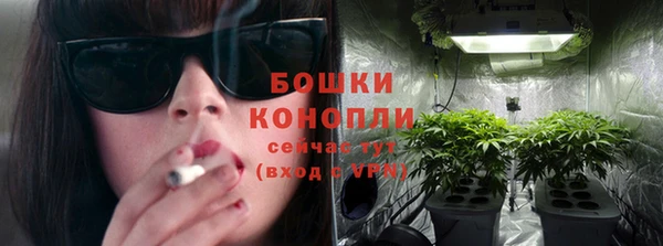 бошки Алексин