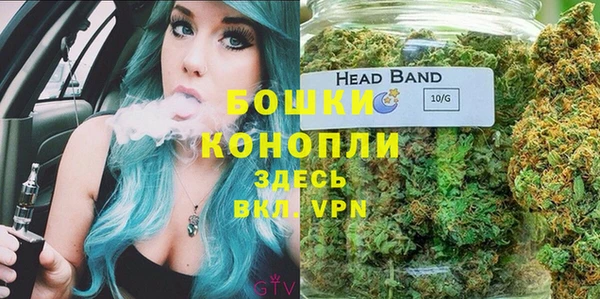 бошки Алексин