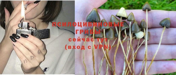 винт Алзамай