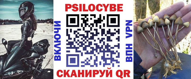 площадка наркотические препараты  как найти наркотики  Алексин  Галлюциногенные грибы прущие грибы 