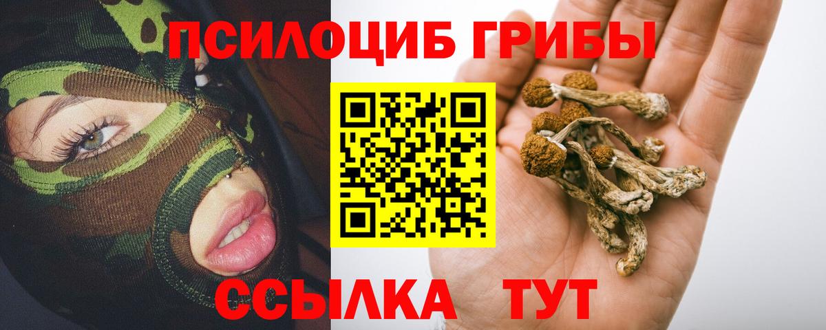 Псилоцибиновые грибы ЛСД  закладки  Алексин  Галлюциногенные грибы GOLDEN TEACHER  Вход с VPN 